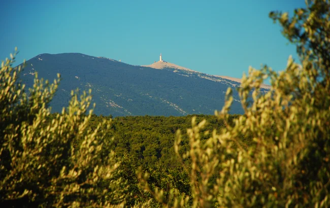 Les coteaux et le Mont Ventoux au-dessus de Beaumes-de-Venise